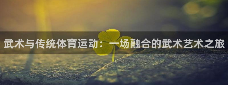 球客岛
