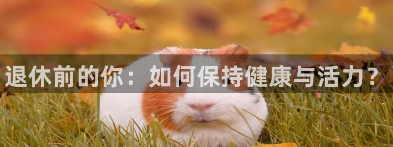 球客岛