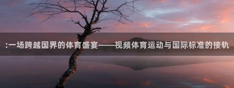 球客岛：:一场跨越国界的体育盛宴——视频体育运动与国际标准的接轨