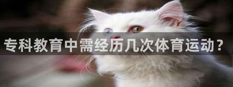 球客岛：专科教育中需经历几次体育运动？