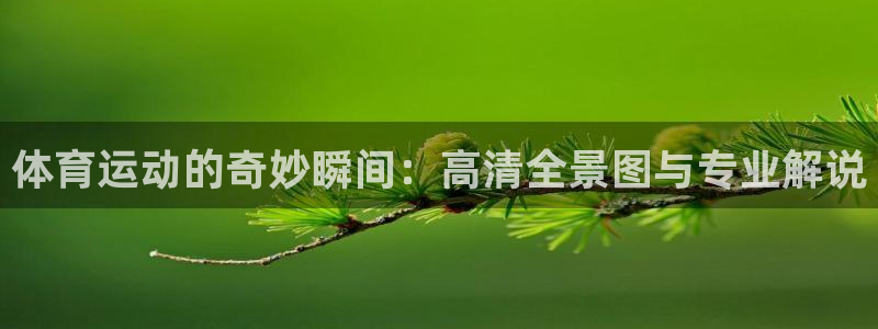 球客岛