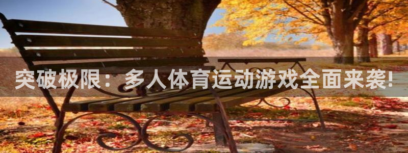 球客岛：突破极限：多人体育运动游戏全面来袭!