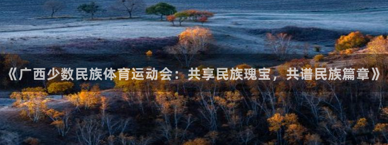 球客岛：《广西少数民族体育运动会：共享民族瑰宝，共谱民族篇章》