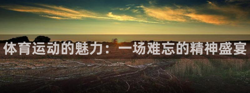 球客岛：体育运动的魅力：一场难忘的精神盛宴