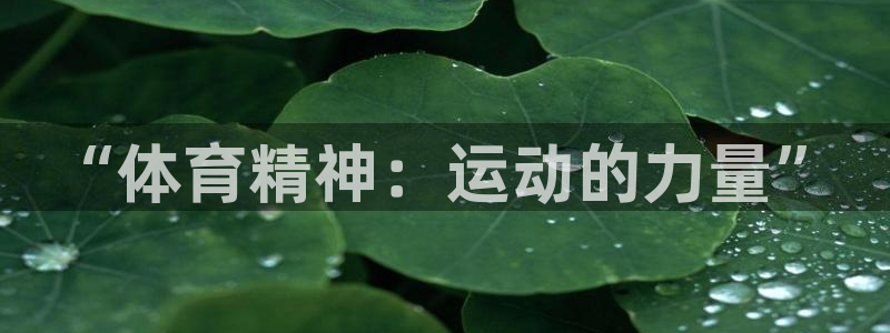 球客岛